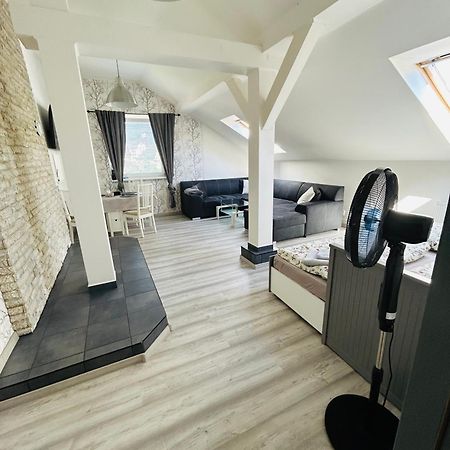 Apartman Theresa Decin Exteriér fotografie
